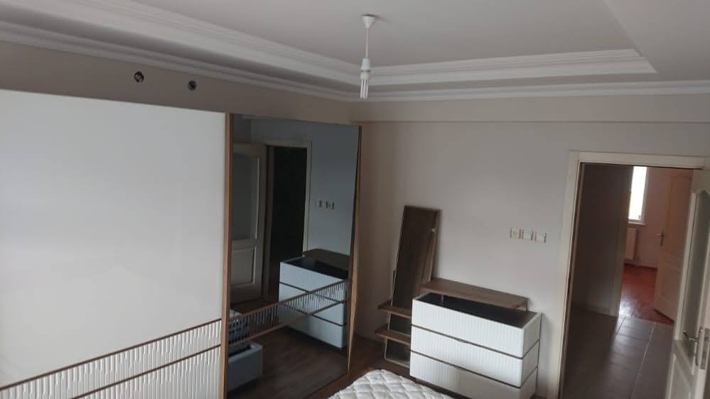 Goril Transport Impression 24