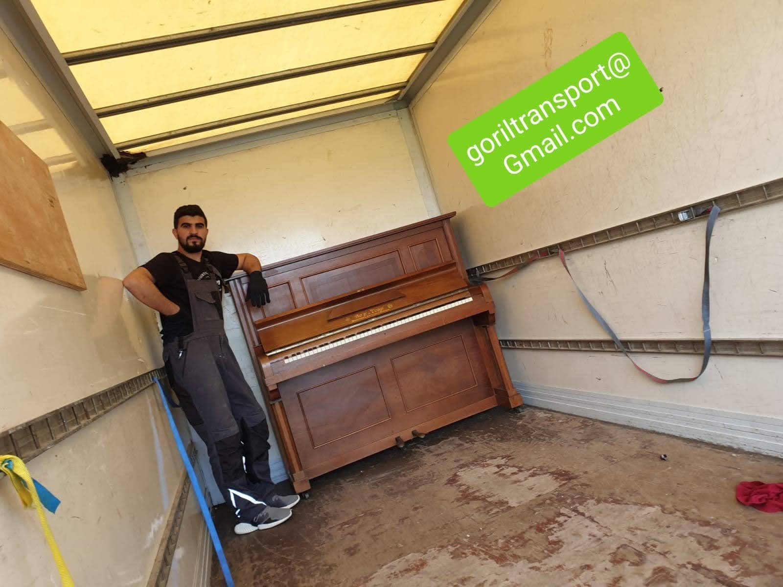 Goril Transport Impression 18