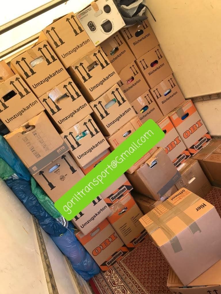 Goril Transport Impression 16