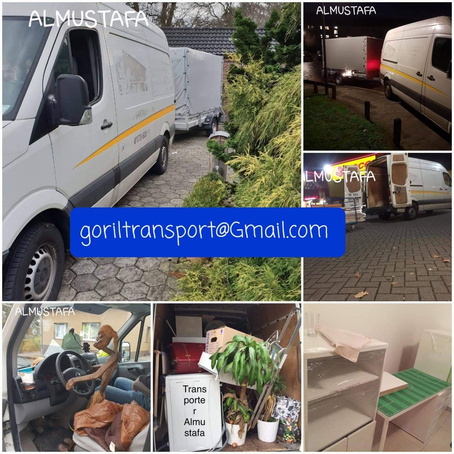 Goril Transport Impression 15