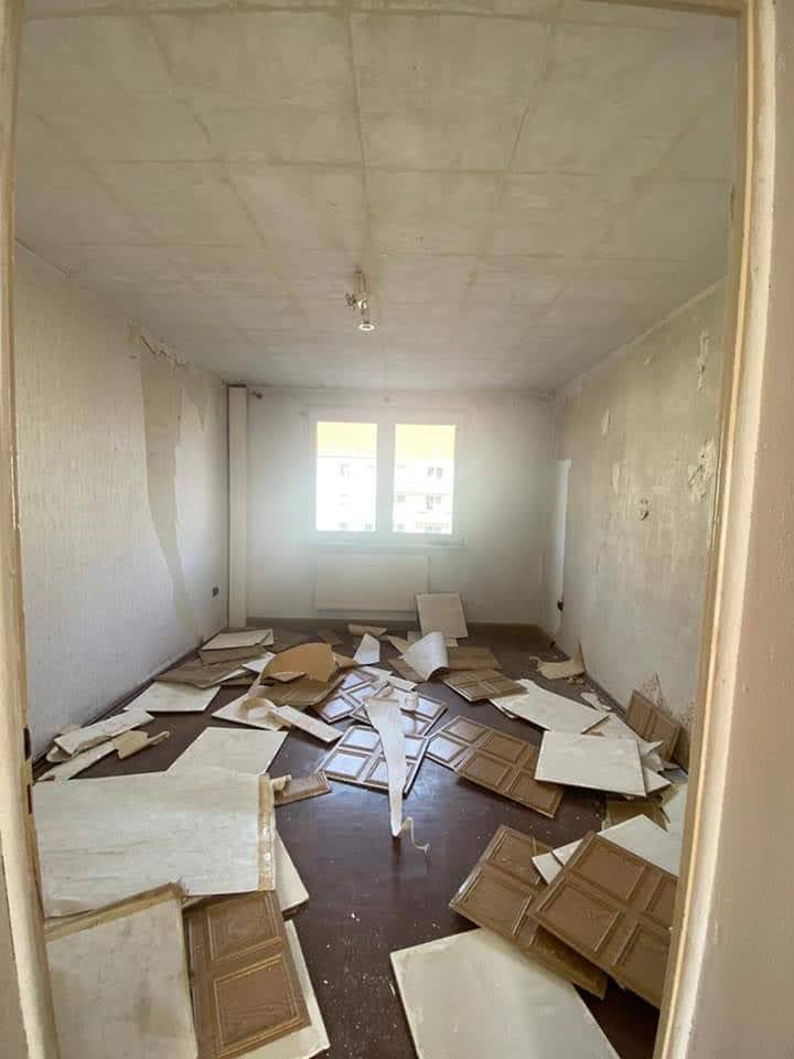 Goril Transport Impression 12